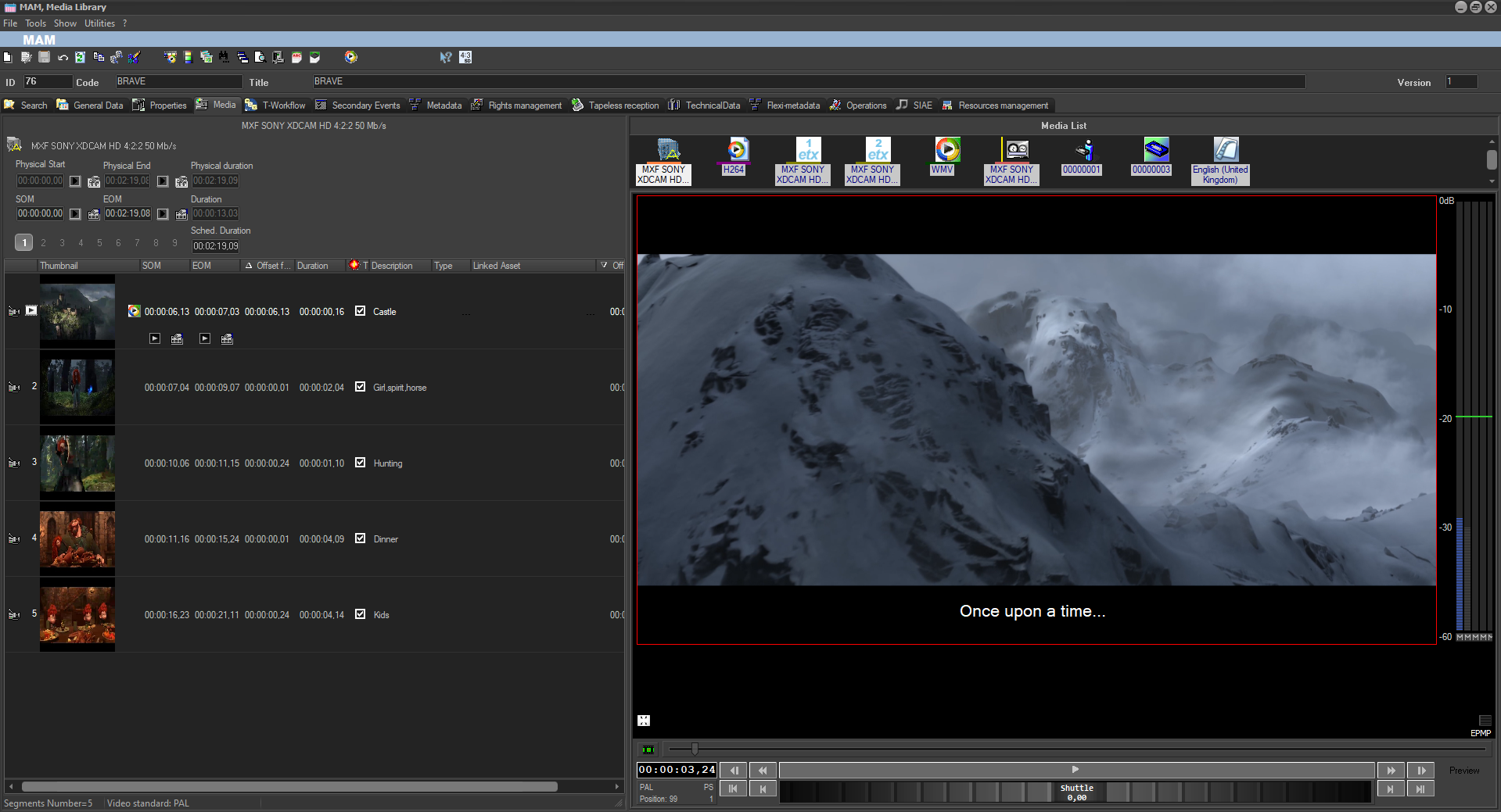 Media Asset Management (MAM)